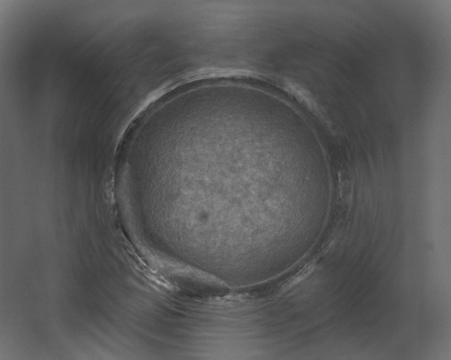 X0000067841165200604201234