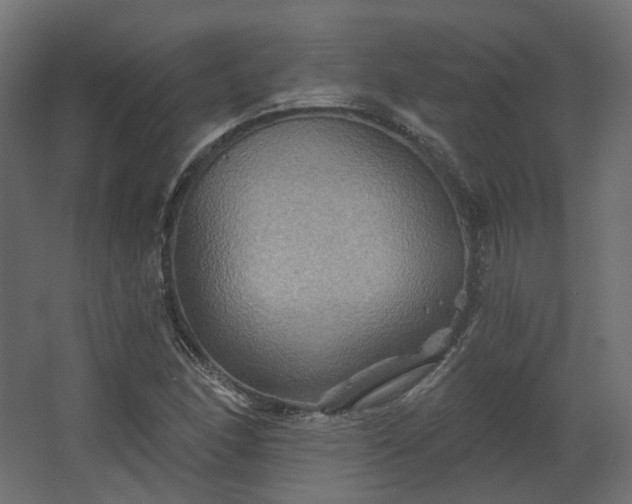 X0000067841166200604201234