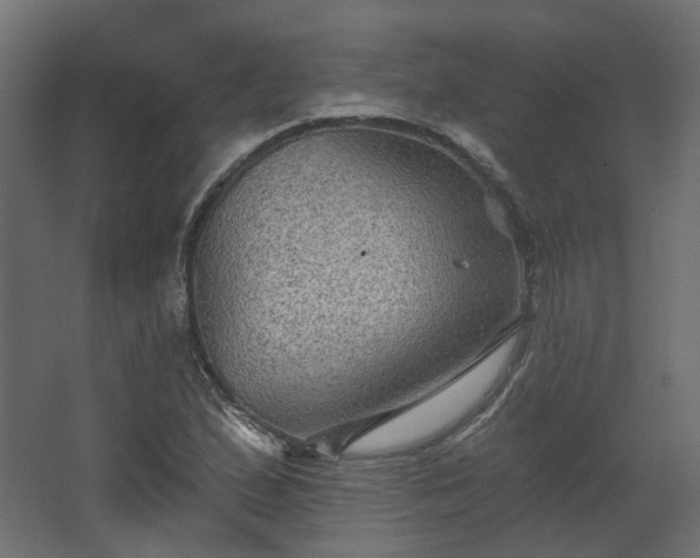 X0000067841167200604201234