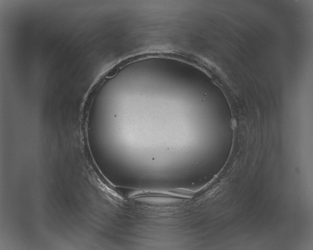 X0000067841168200604201234