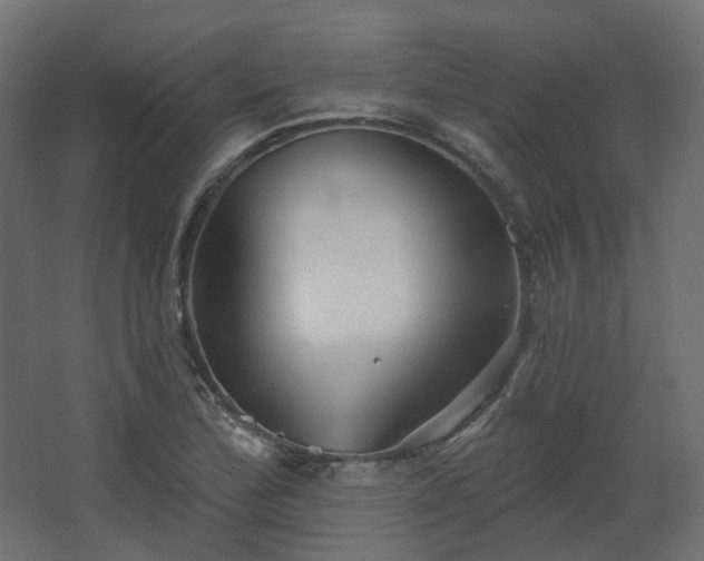 X0000067841172200604201234