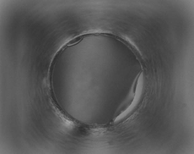 X0000067841173200604201234