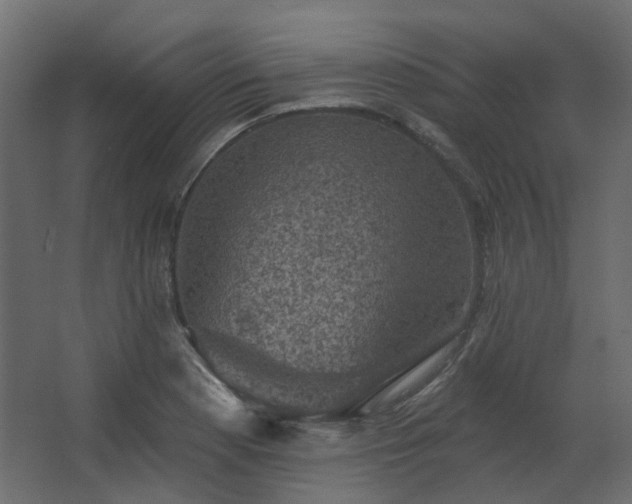 X0000067841177200604201234