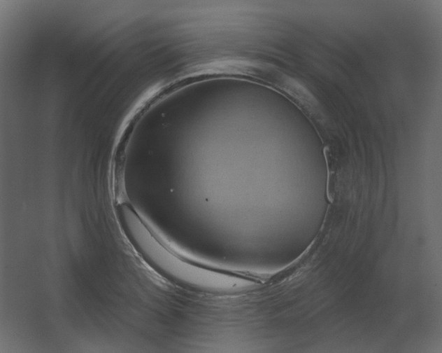 X0000067841180200604201234