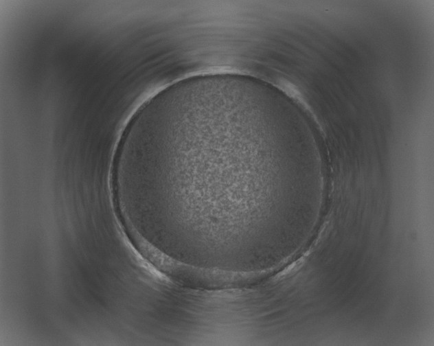 X0000067841181200604201234