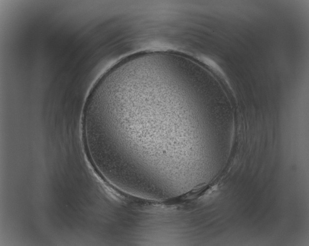 X0000067841183200604201233