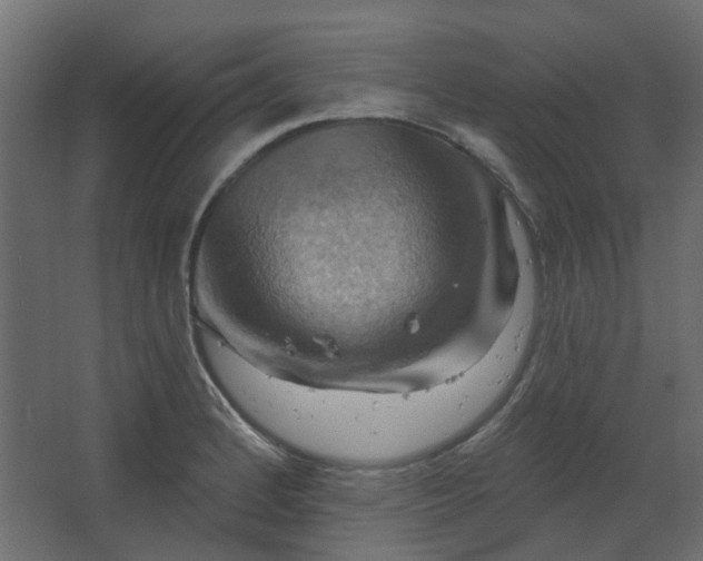 X0000067841184200604201233