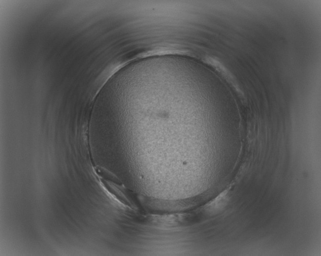 X0000067841185200604201233