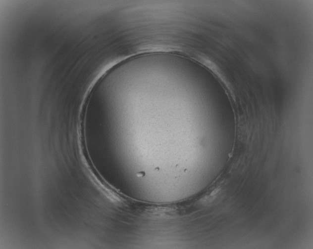 X0000067841187200604201233