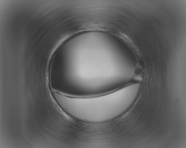 X0000067841188200604201233