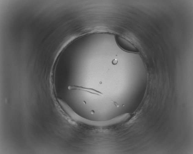 X0000067841190200604201233