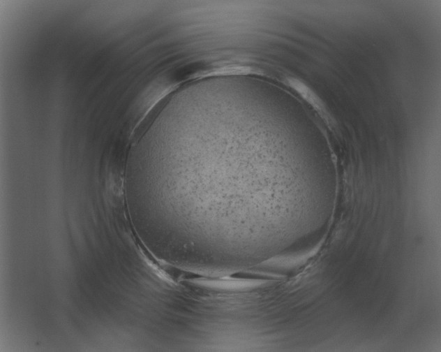 X0000067841193200604201233