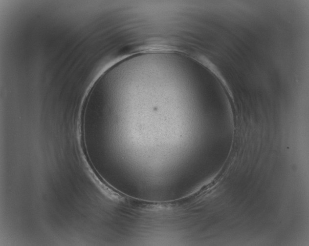 X0000067841195200604201233