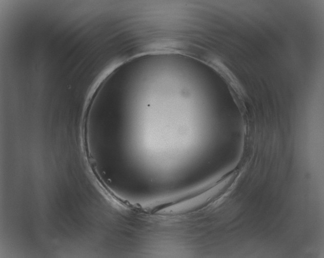 X0000067841196200604201233