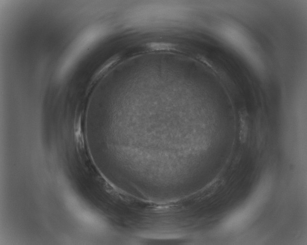 X0000067841198200604201233