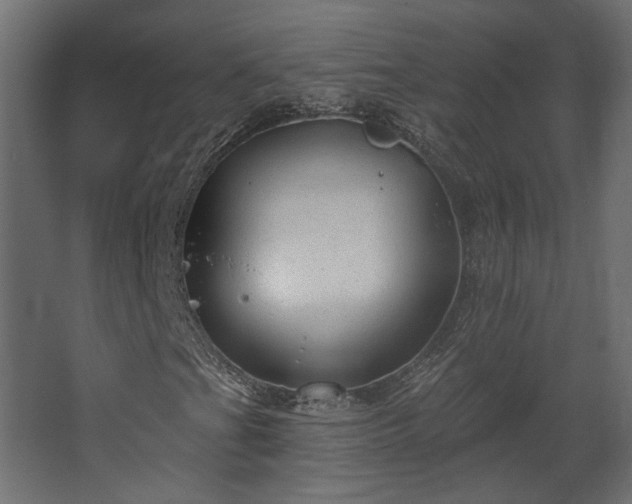 X0000067841201200604201232