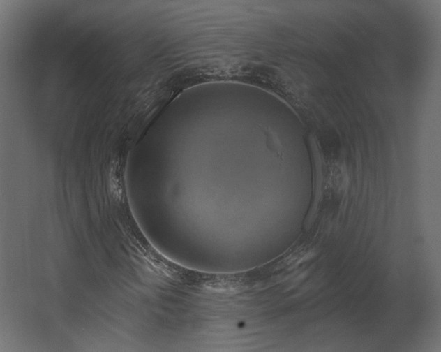 X0000067841202200604201232