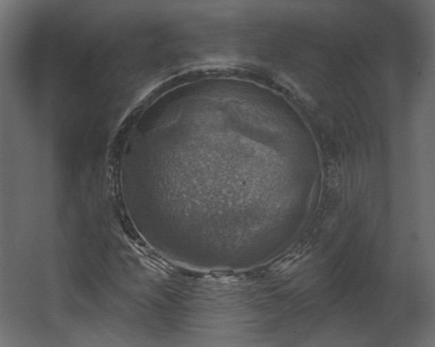 X0000067841208200604201232