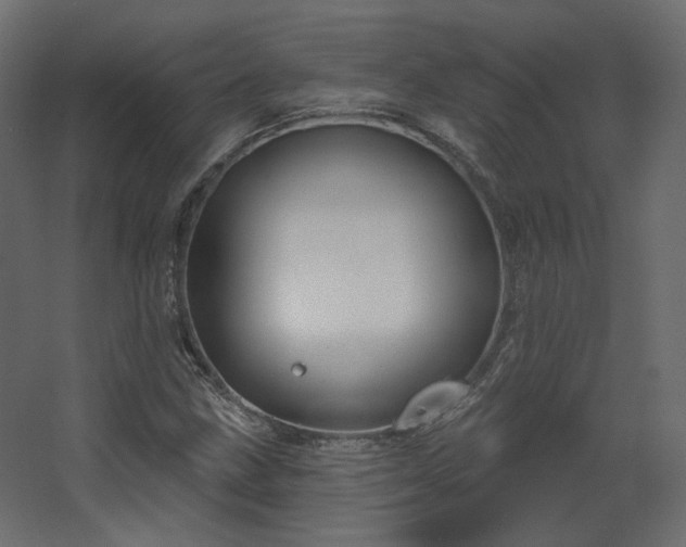 X0000067841211200604201233