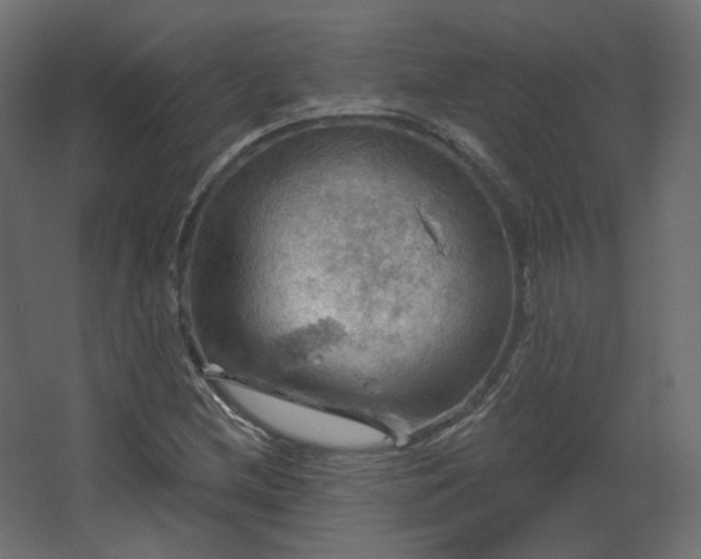 X0000067841212200604201233