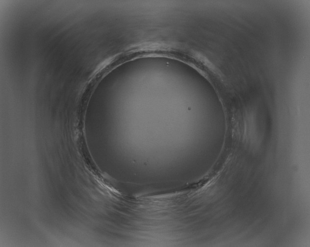 X0000067841213200604201233