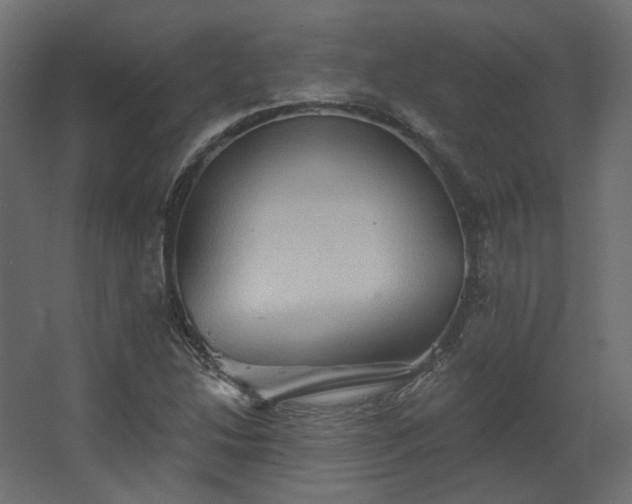 X0000067841214200604201233