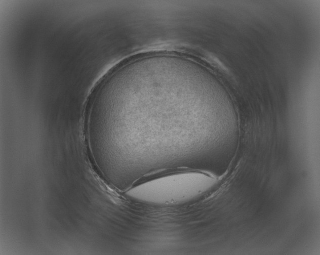 X0000067841216200604201233