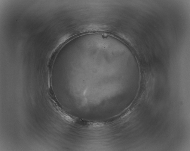 X0000067841219200604201233