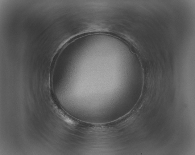 X0000067841220200604201233