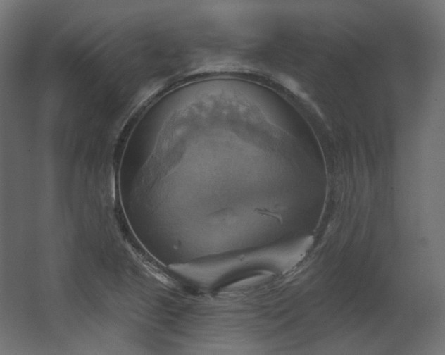 X0000067841221200604201233