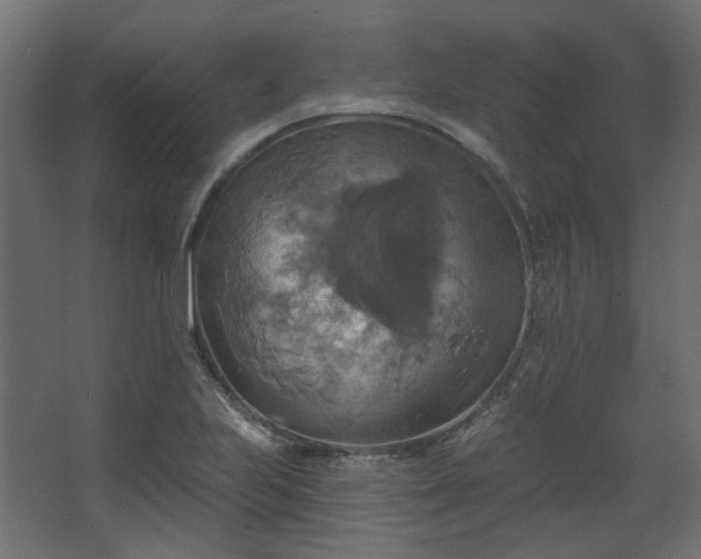 X0000067841223200604201233