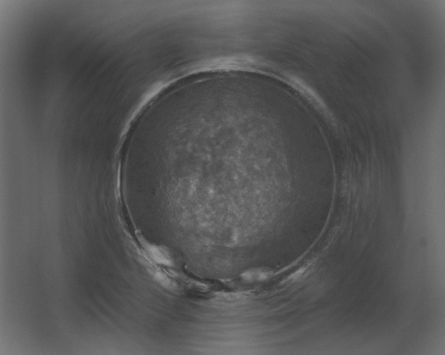 X0000067841224200604201233