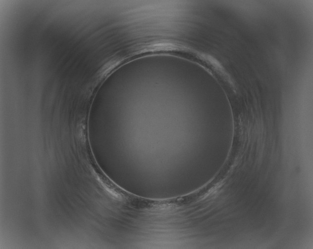 X0000067841225200604201233