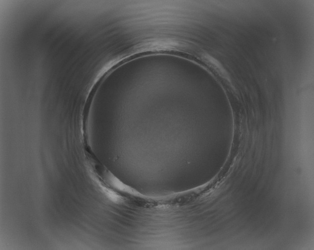 X0000067841226200604201233