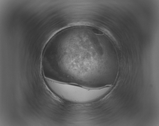 X0000067841228200604201233