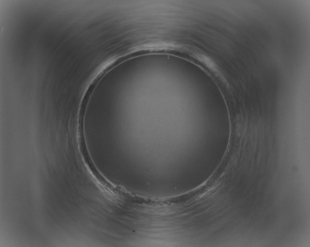 X0000067841229200604201233