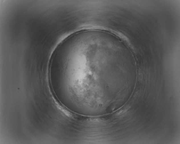 X0000067841231200604201233