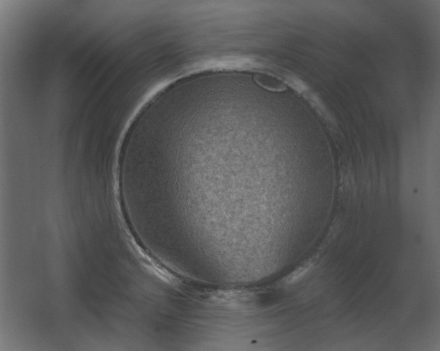 X0000067841232200604201233