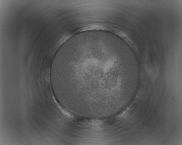 X0000067841233200604201233