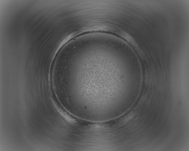 X0000067841234200604201233