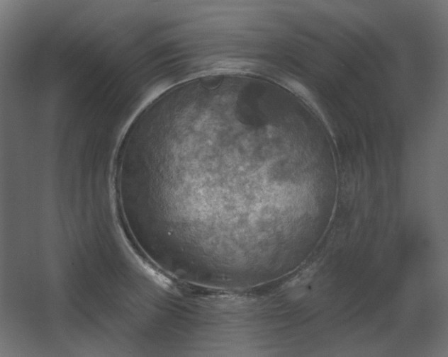 X0000067841235200604201233