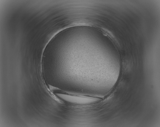 X0000067841236200604201233