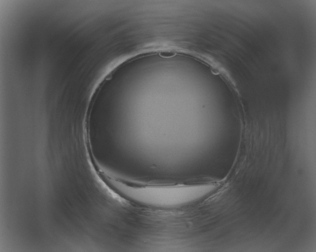 X0000067841239200604201233