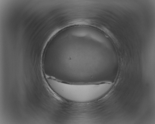 X0000067841240200604201233