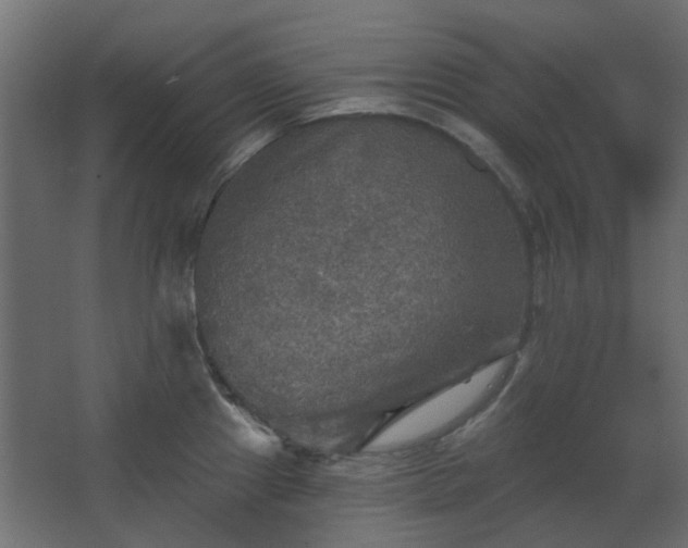 X0000067841241200604201233