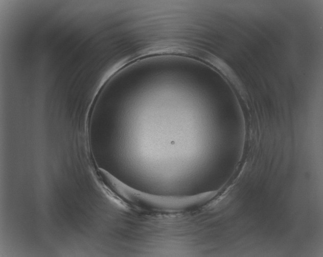 X0000067841242200604201233