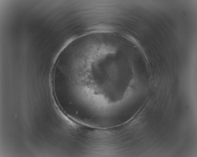 X0000067841243200604201233