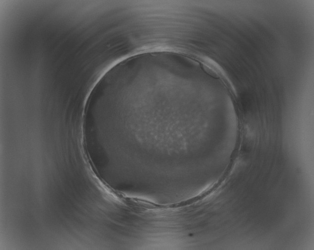 X0000067841244200604201233