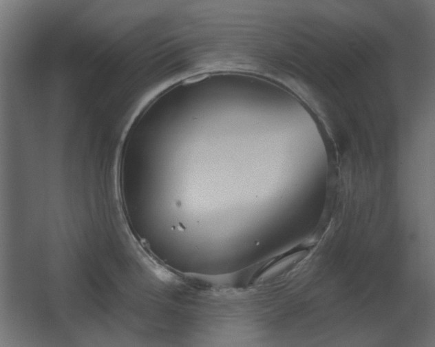 X0000067841246200604201233