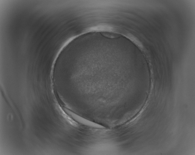 X0000067841248200604201233